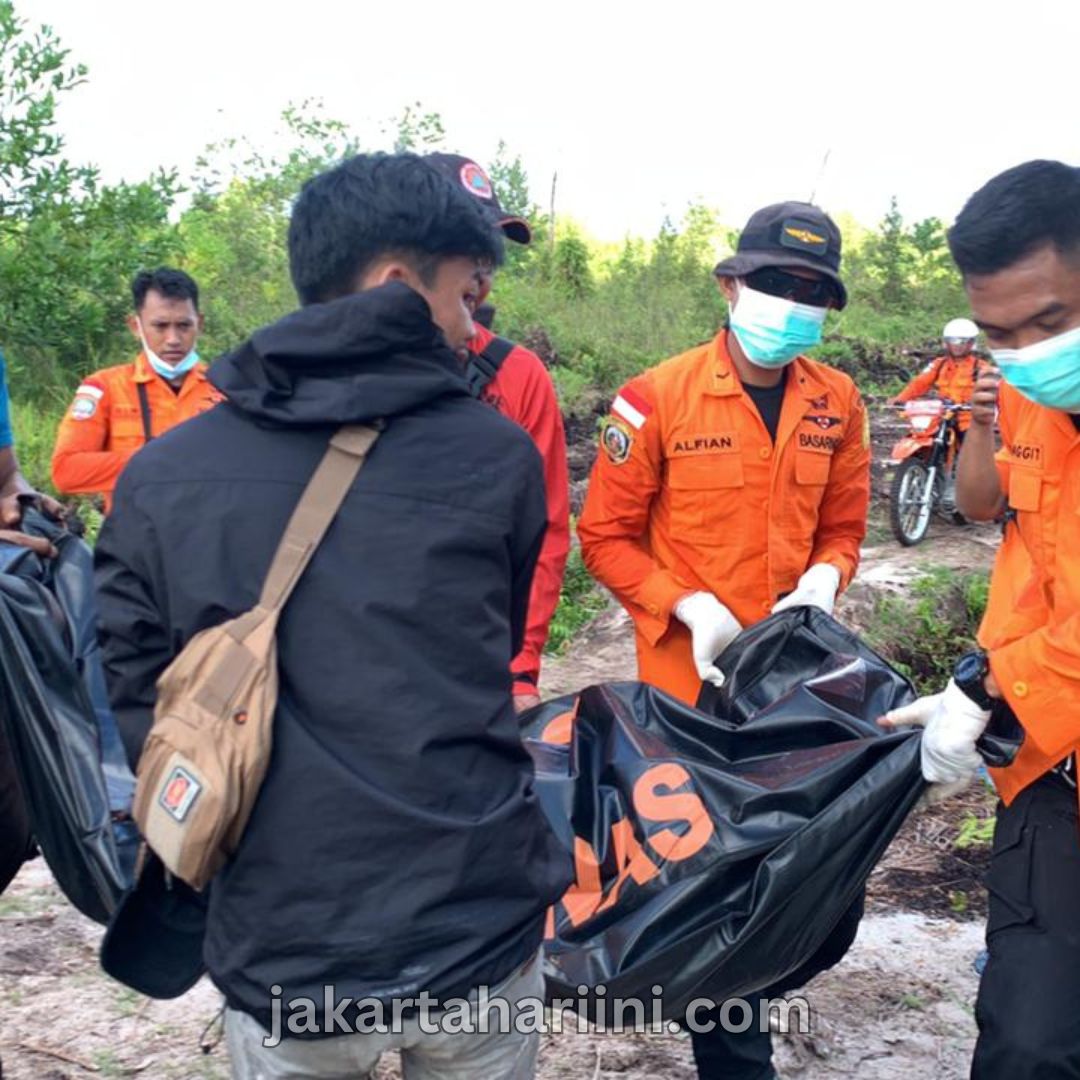 Pencari Madu Ditemukan Tewas Setelah Beberapa Hari Hilang di Hutan